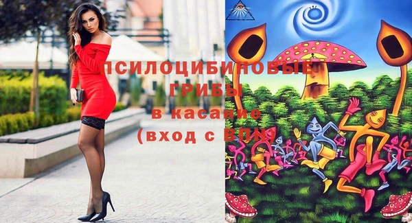 стаф Лихославль