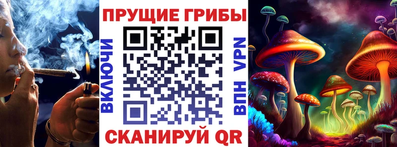 Галлюциногенные грибы Cubensis  сколько стоит  Курчатов 